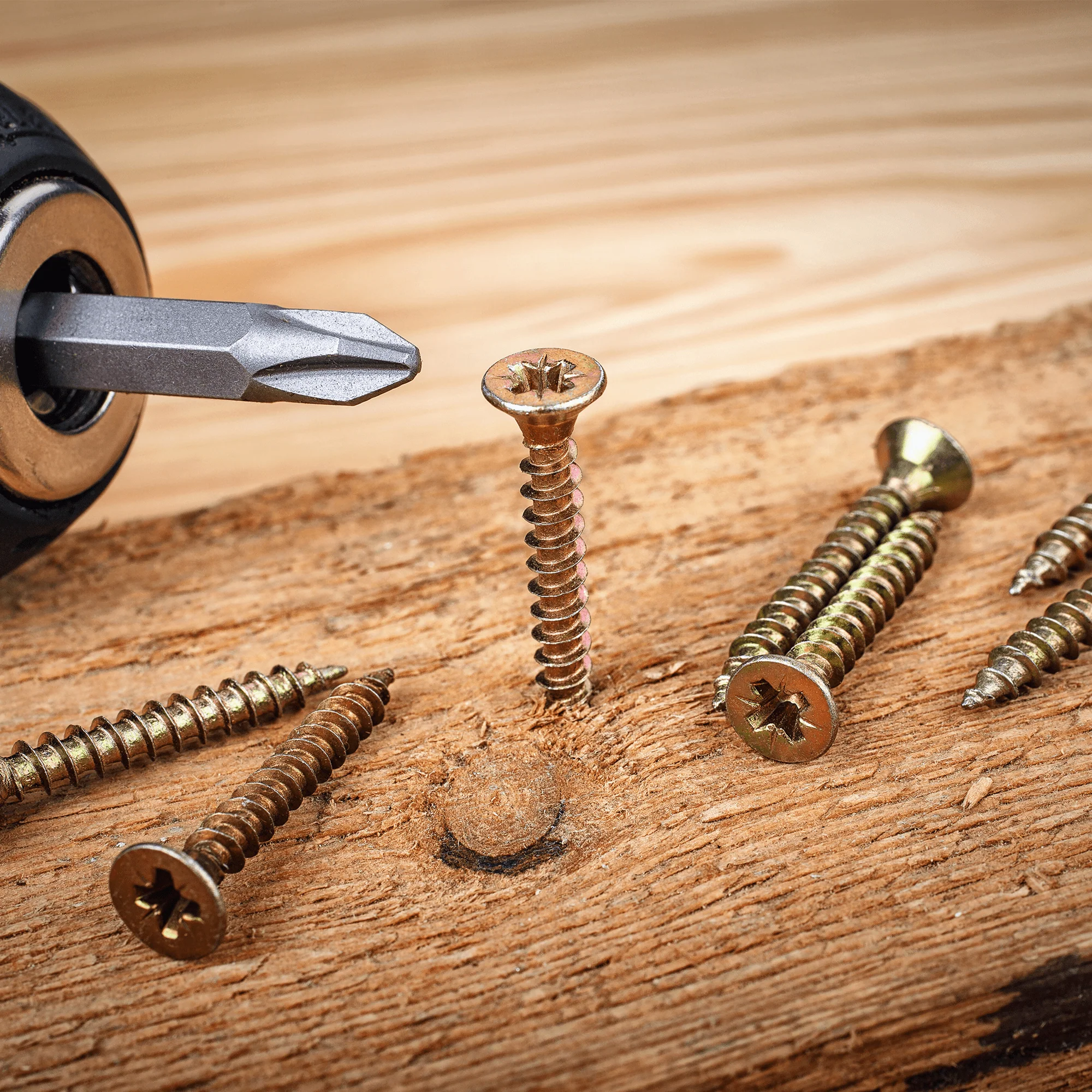 665 Piece Wood Screw Assortment Set - TuuLKIT - Image 5