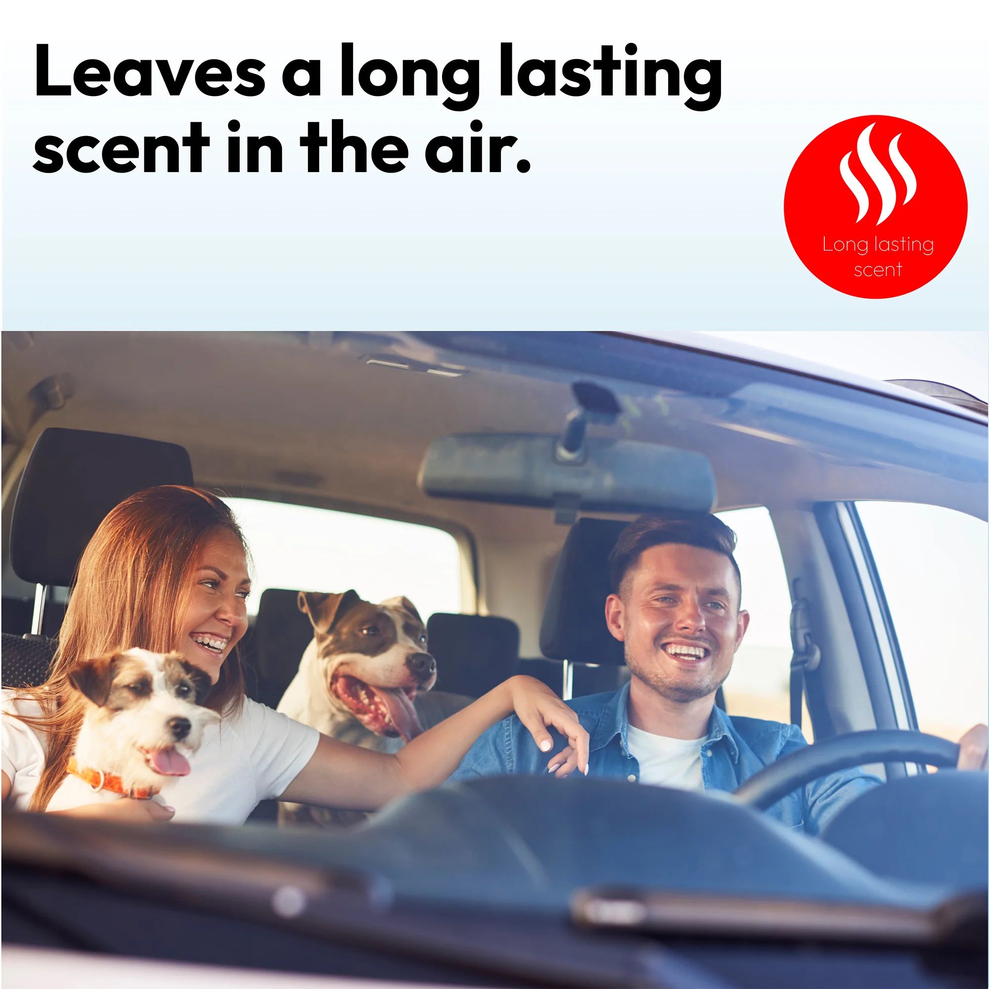 Designer Air Freshener (Red Lavender) - TruEssence - Image 5