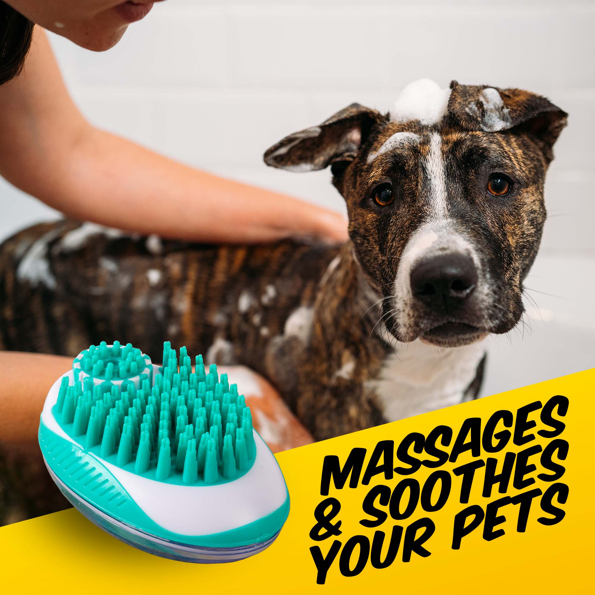 Dog Soap Brush - PawPride - Image 7