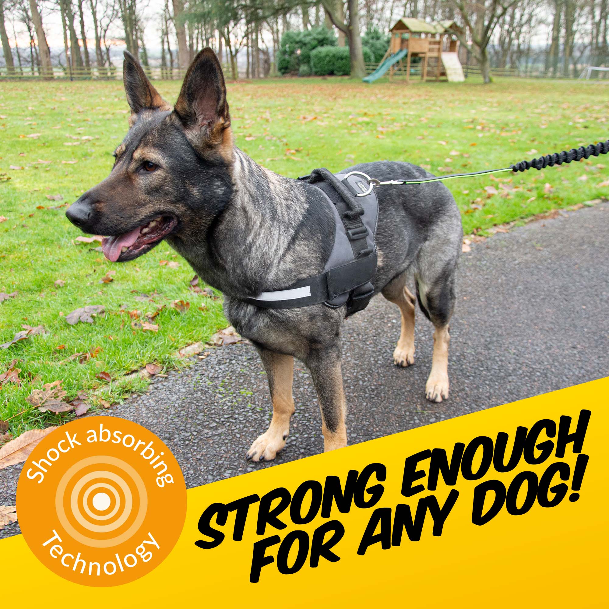 Hi-Vis Dog Lead - Pawpride - Image 4
