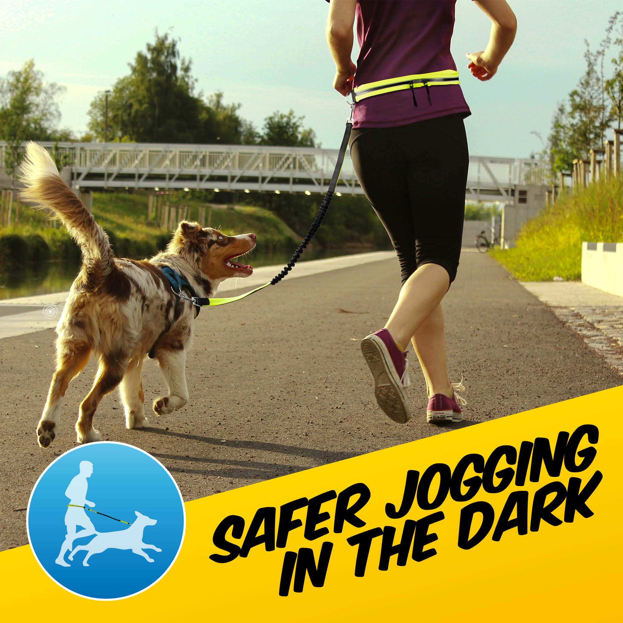 Hi-Vis Dog Lead - Pawpride - Image 5