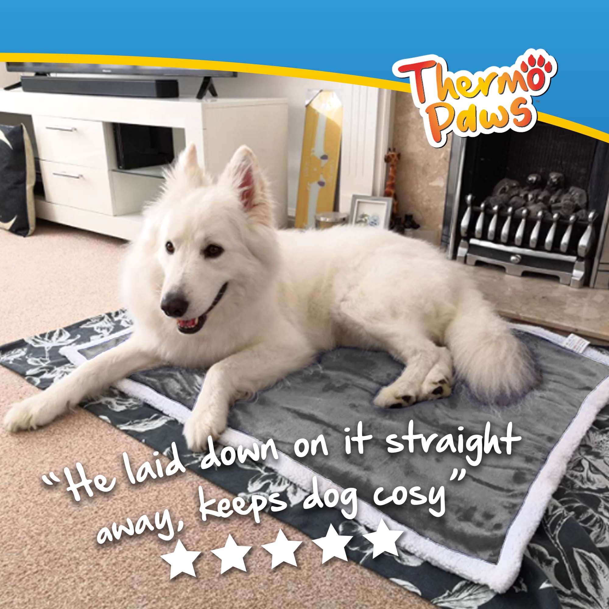 Luxury Pet Blanket (Grey) - Image 2