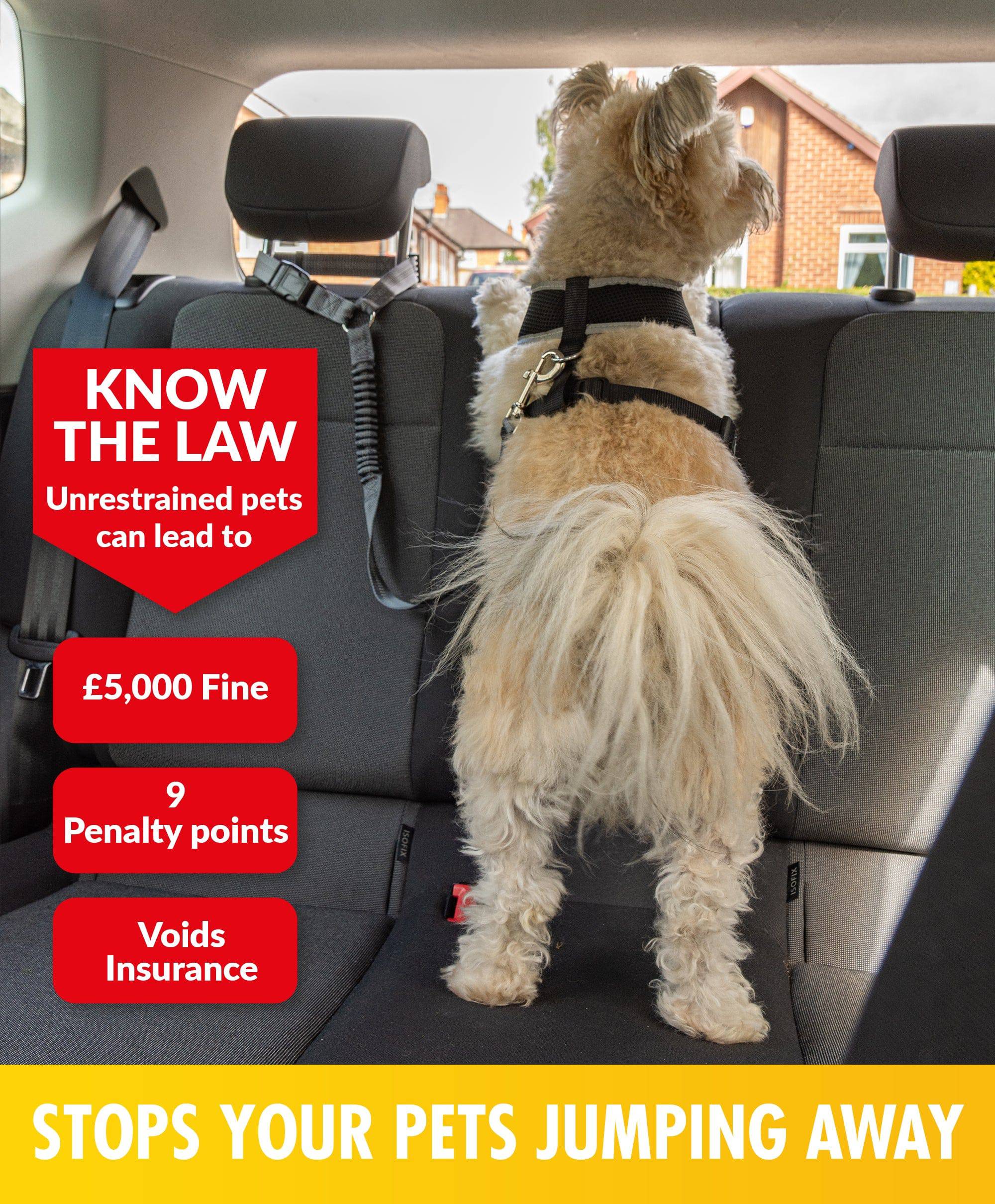 Multi-Purpose Pet Seat Belt - Pawpride - Image 3