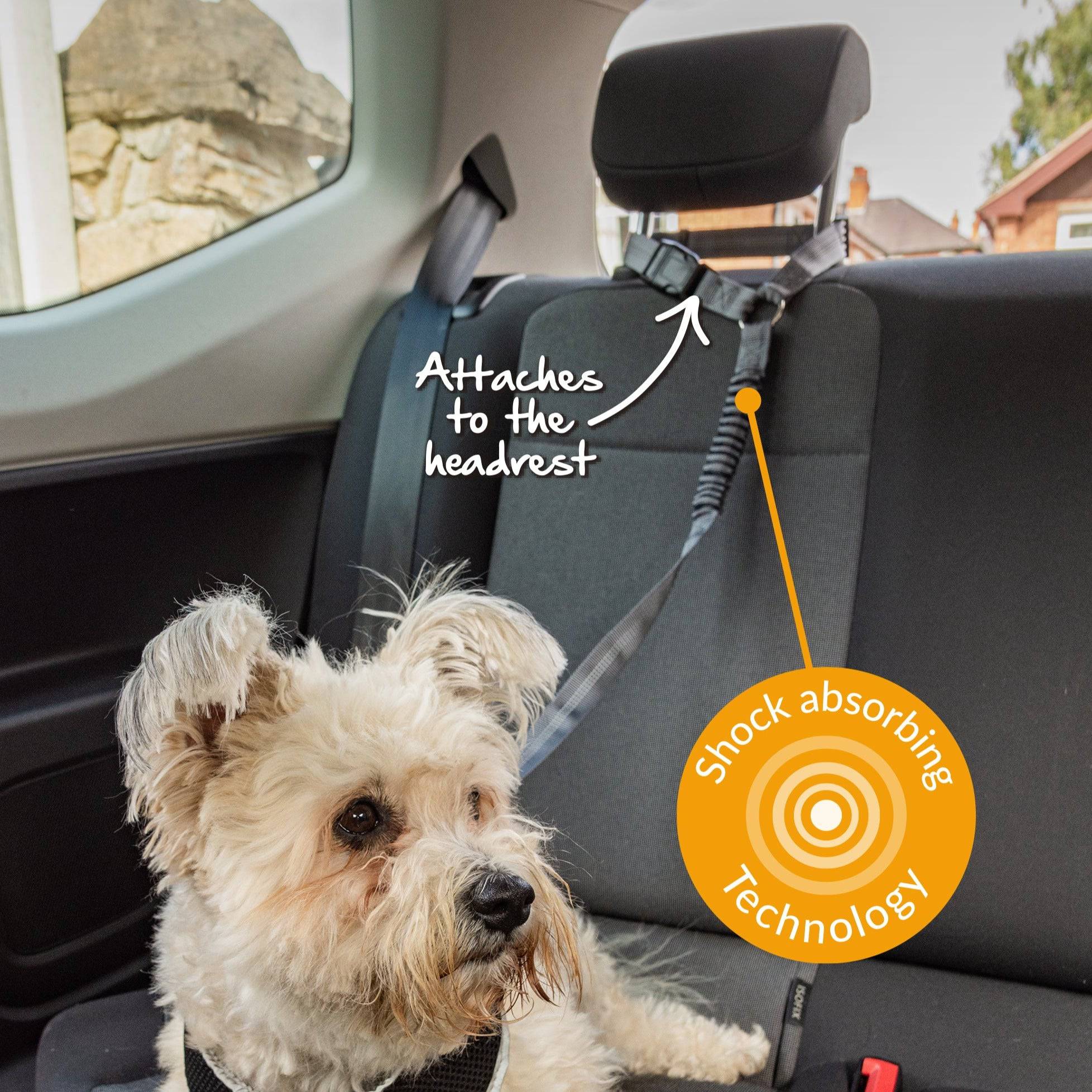 Multi-Purpose Pet Seat Belt - Pawpride - Image 5