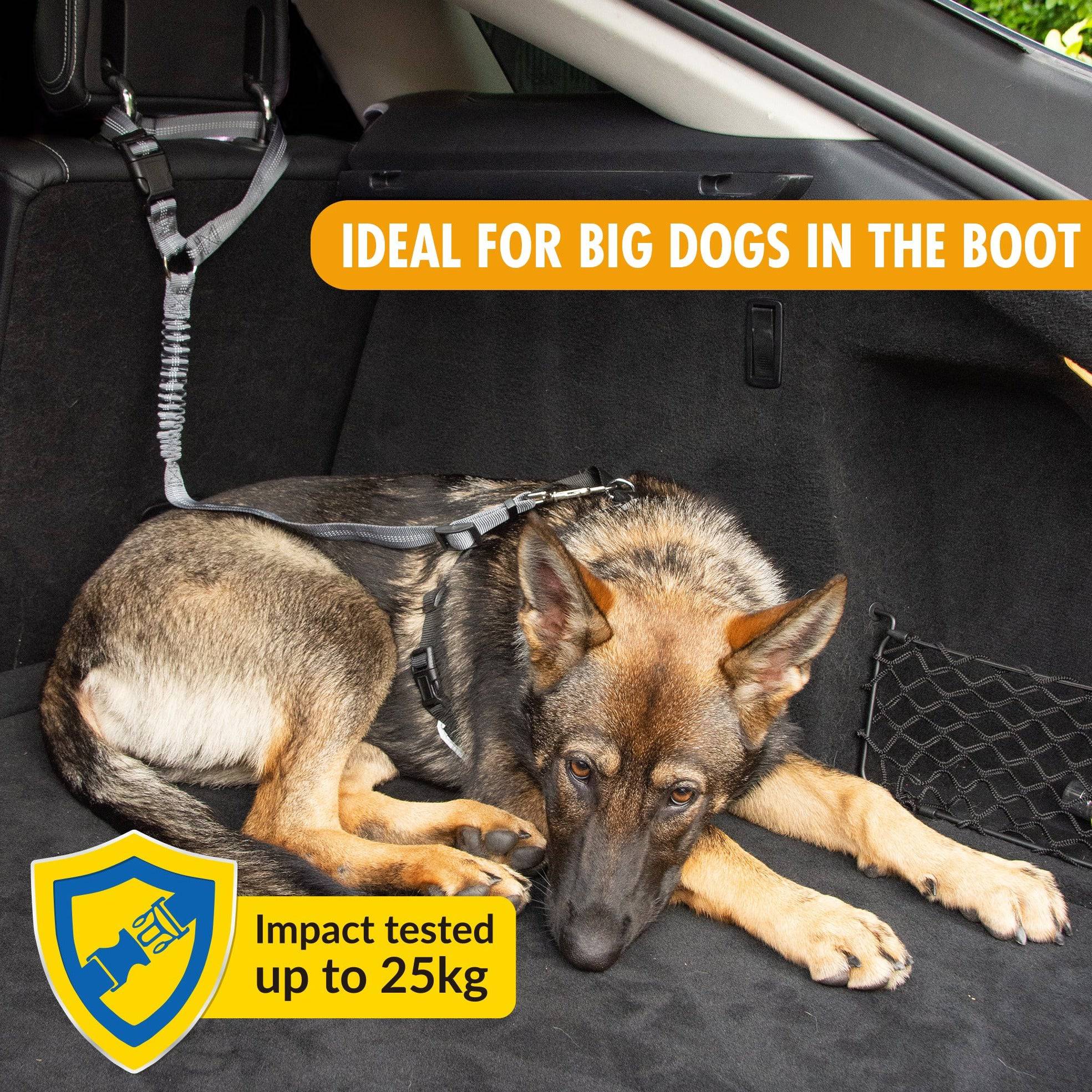 Multi-Purpose Pet Seat Belt - Pawpride - Image 6