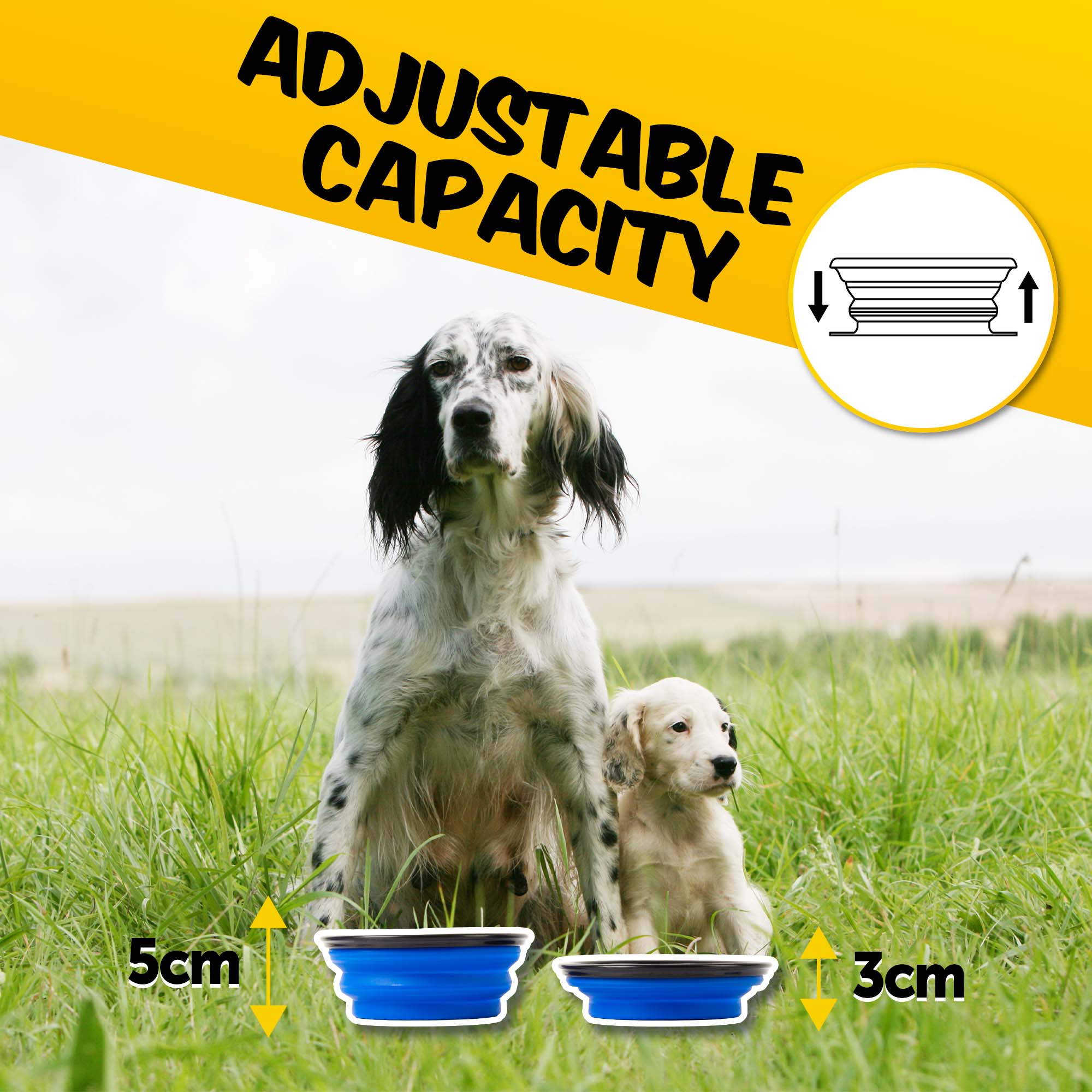 Pet Water Bottle and Food Container - PawPride - Image 6