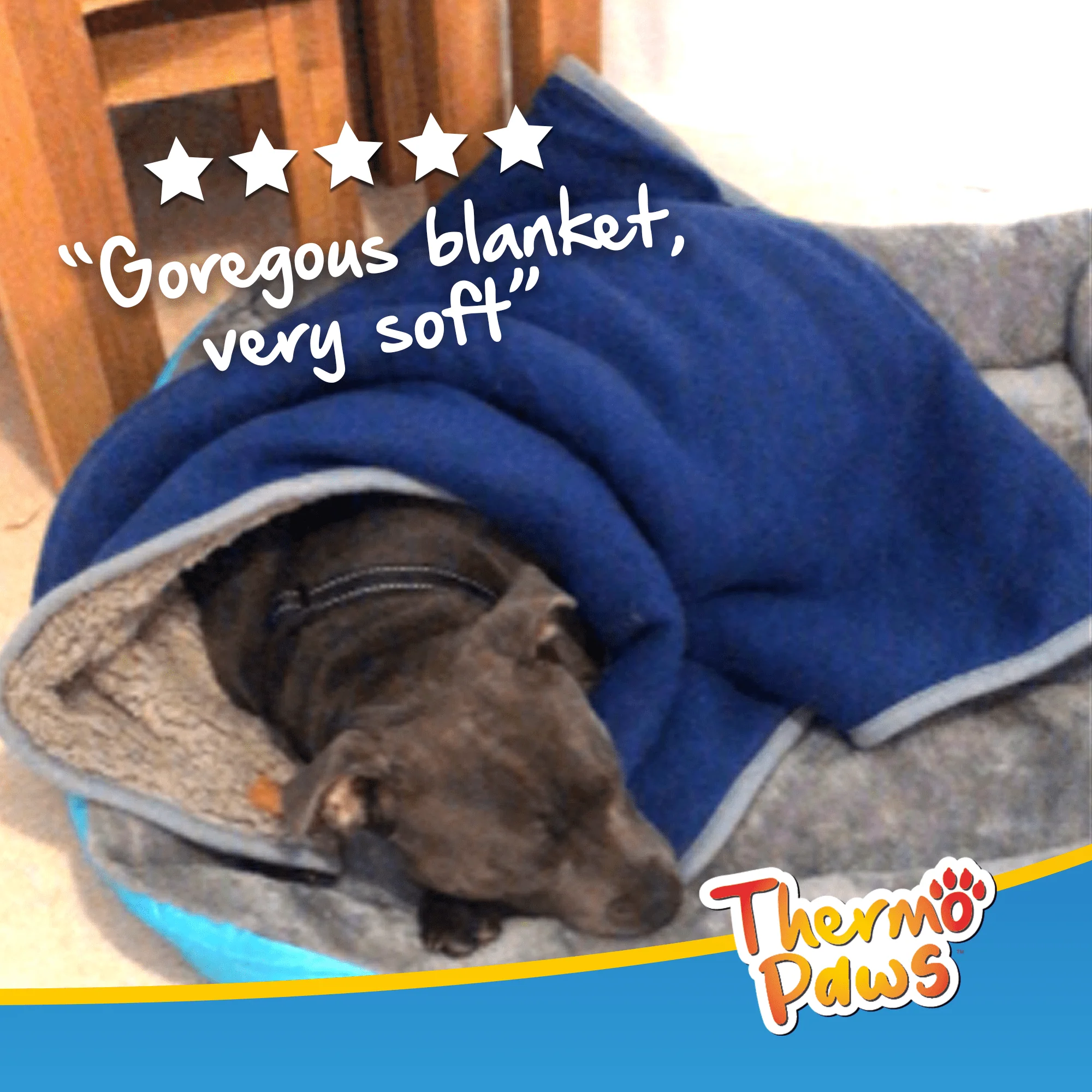 Super Soft Pet Blanket (Blue) - Pawpride - Image 3