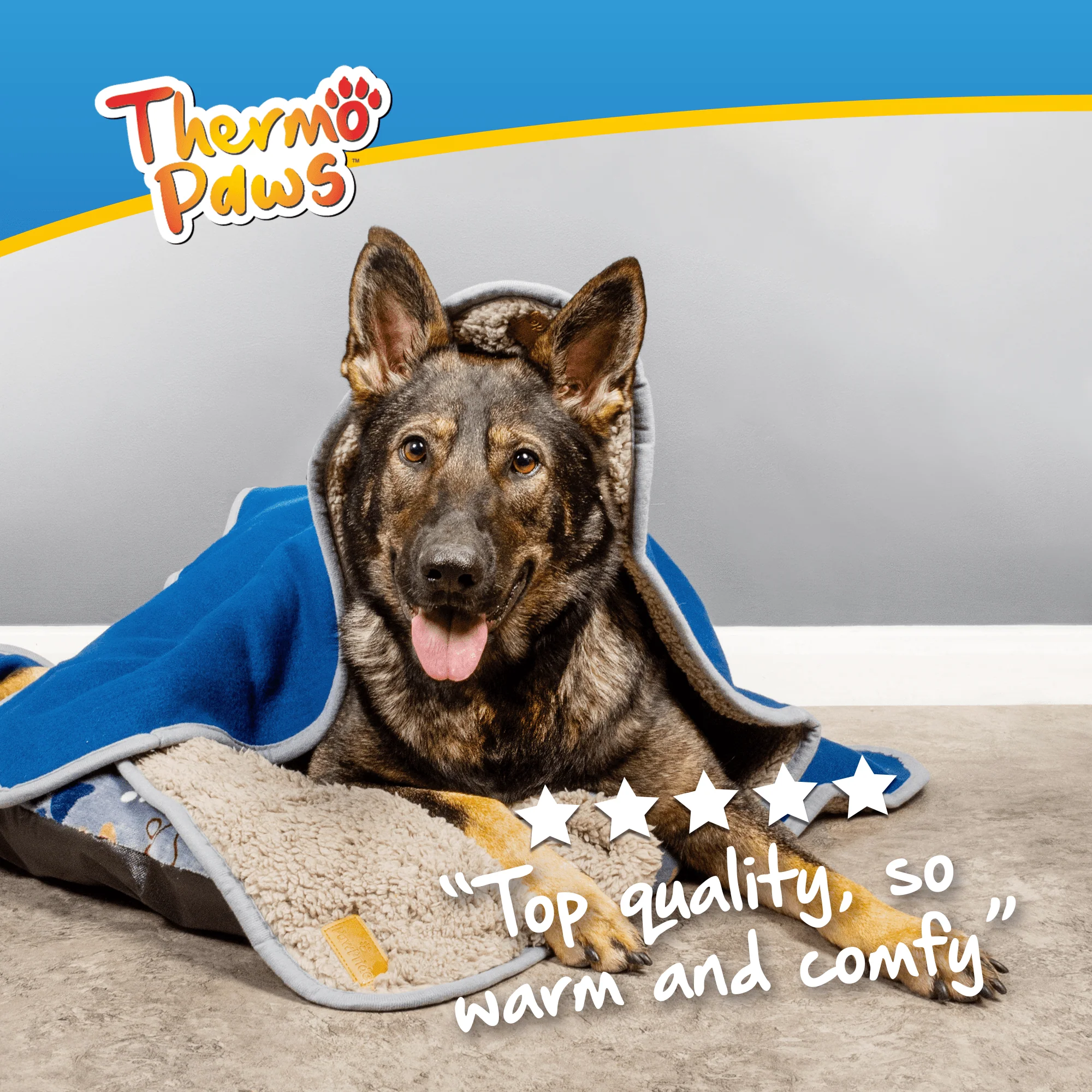 Super Soft Pet Blanket (Blue) - Pawpride - Image 8