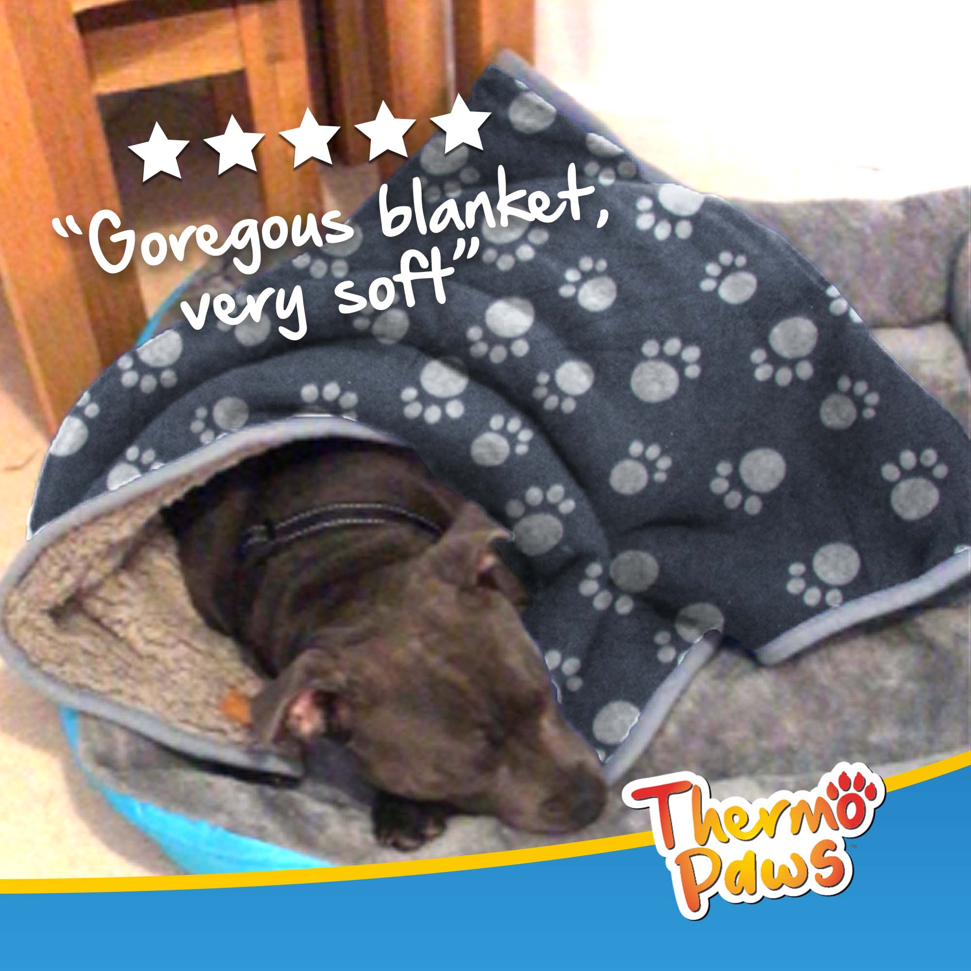 Super Soft Pet Blanket (Dark Grey) - Pawpride - Image 7