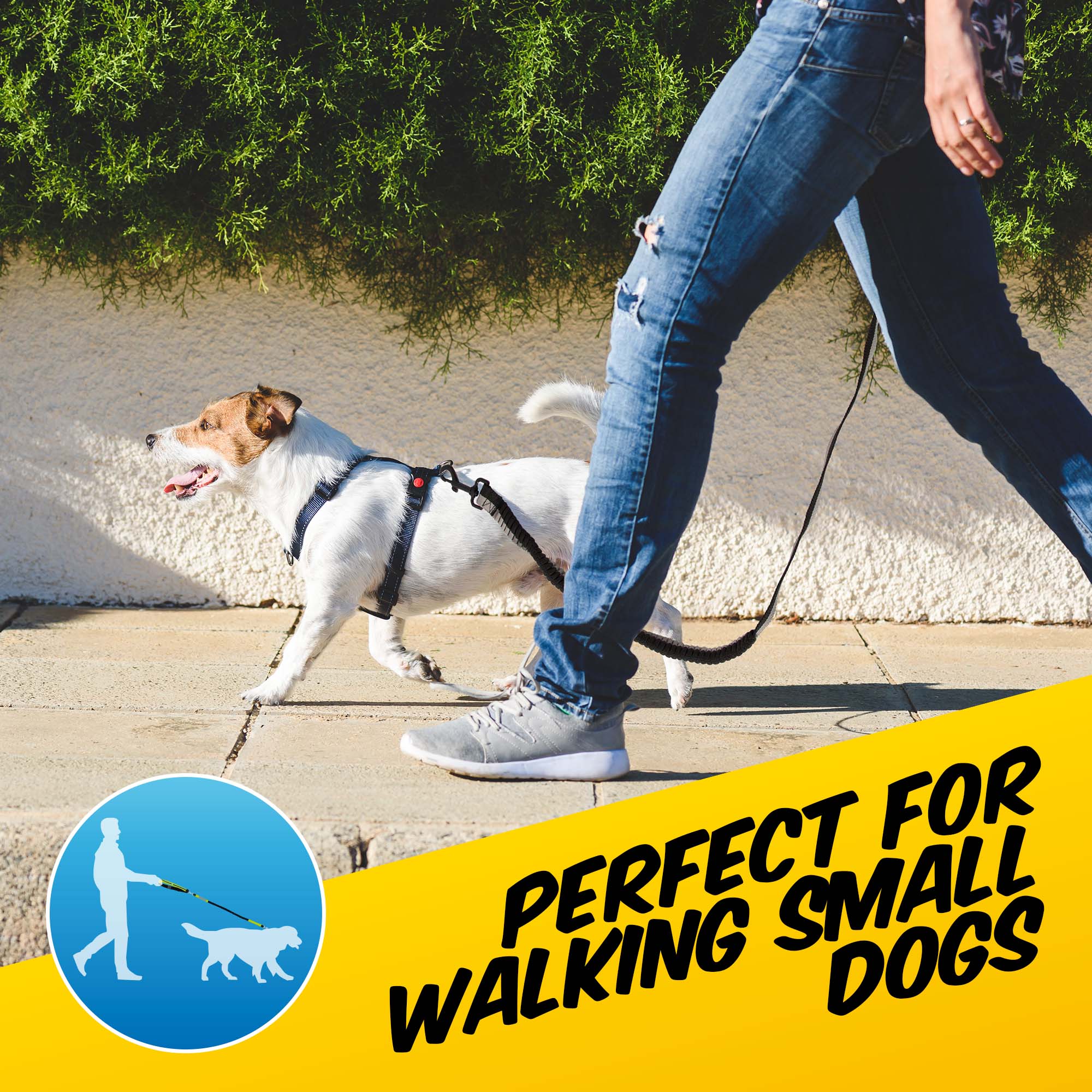 Super Stretch Dog Lead - Pawpride - Image 6